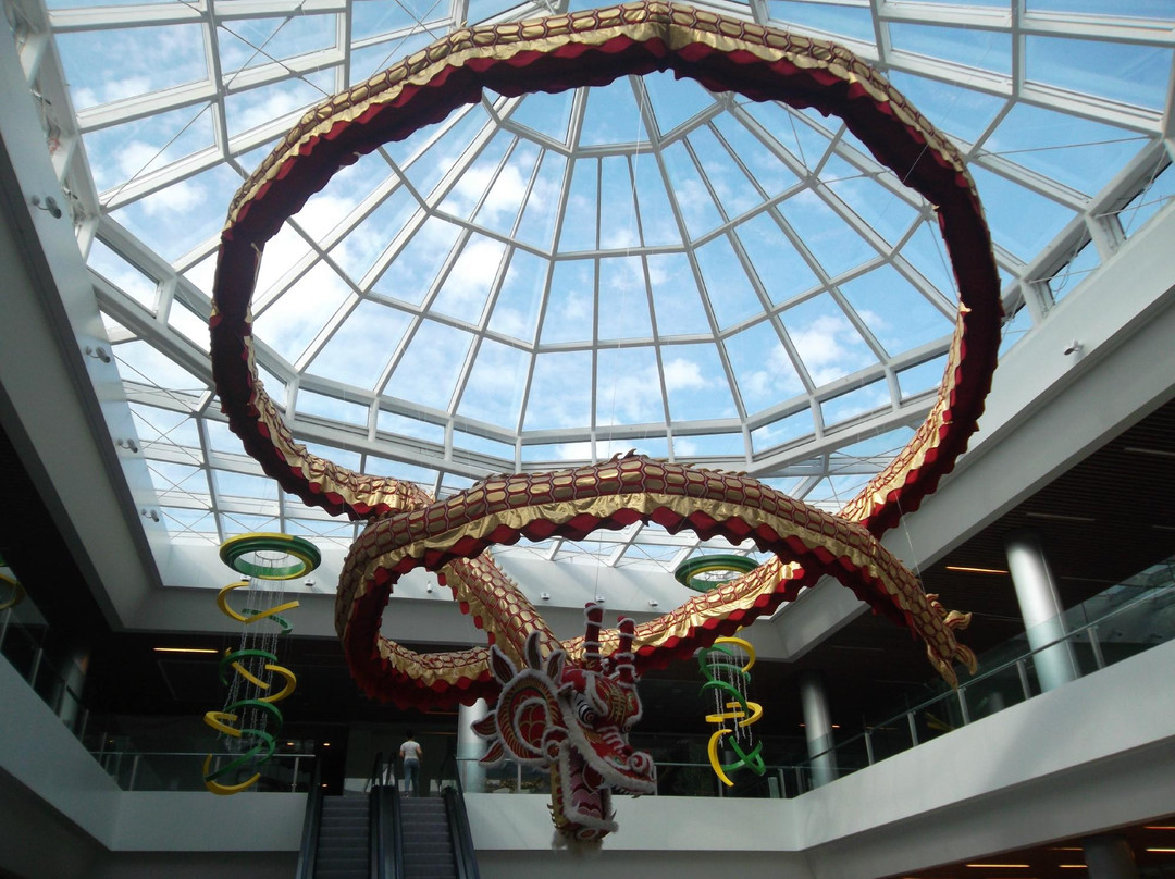 Dragonul Rosu景点图片