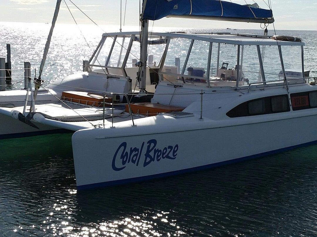 Coral Breeze Cruises景点图片
