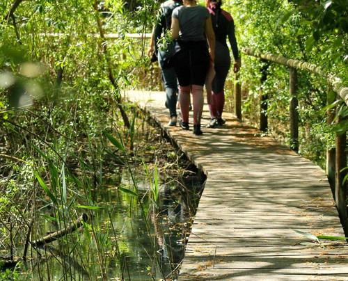 Escola Rui Meira Pro Center-塞新布拉必去景点