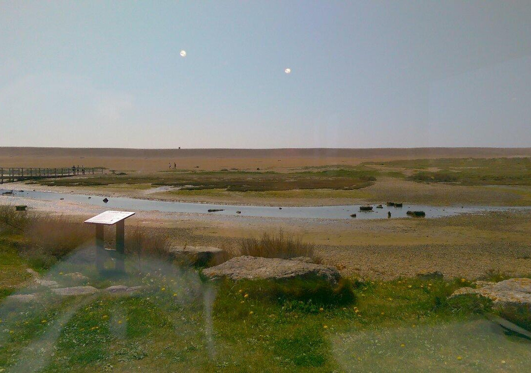 Dorset Wildlife Trust Wild Chesil Centre-Isle of Portland必去景点