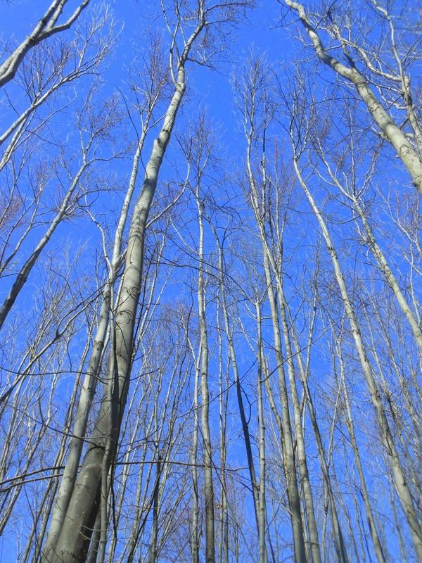 Tinker Nature Park-Henrietta必去景点