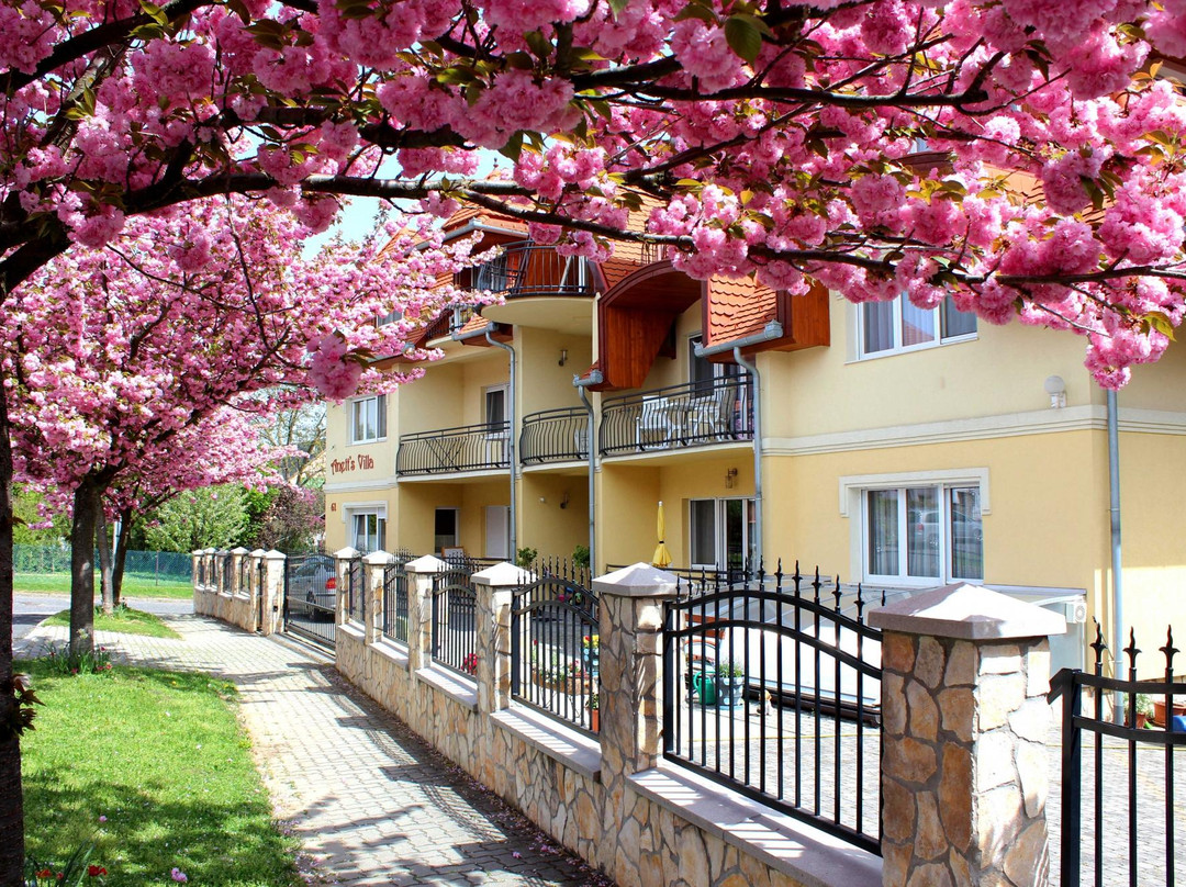 Cserszegtomaj酒店住宿-Anett Villa