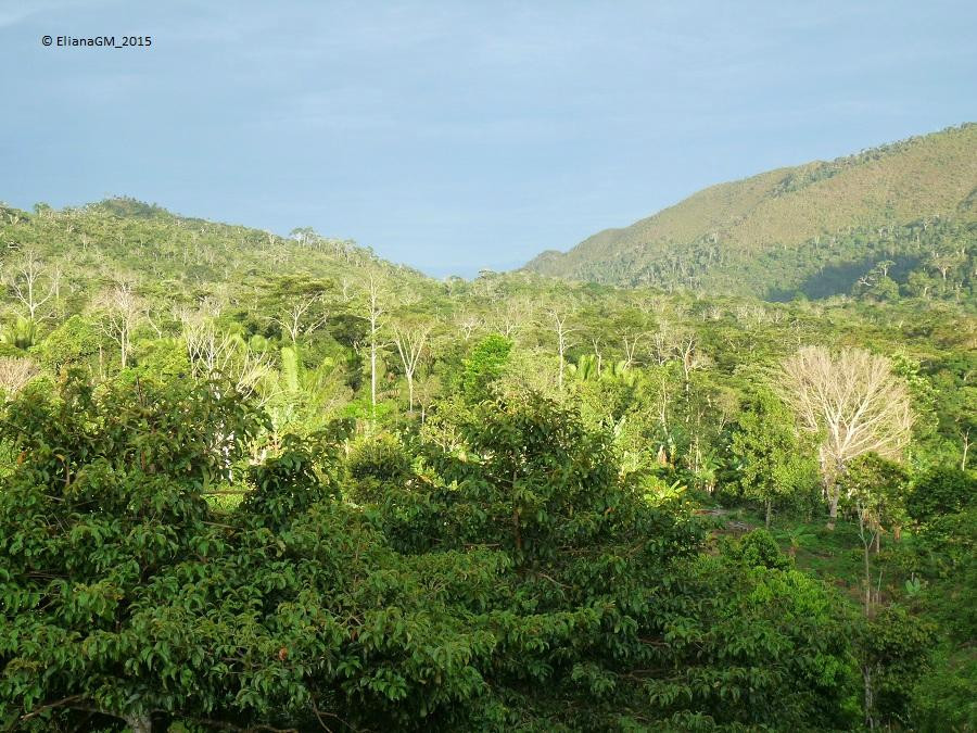 Lago Lindo-Tarapoto必去景点