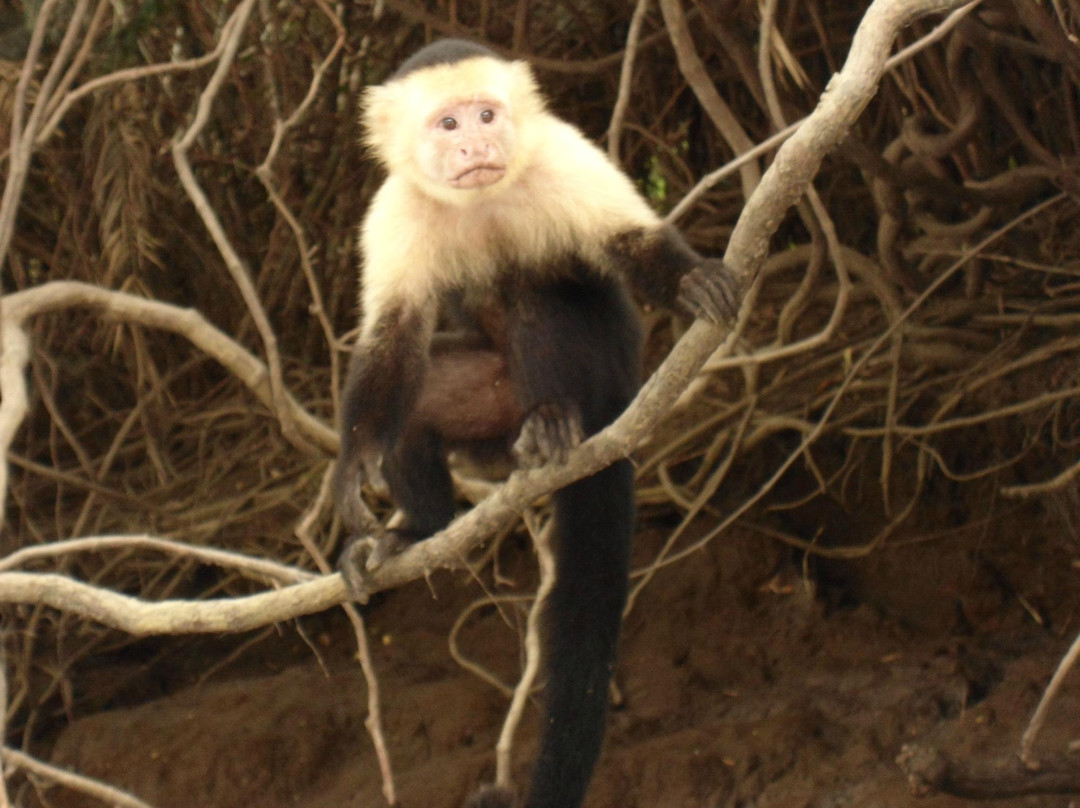 Costa Rica Best Trips-Gulf of Papagayo必去景点