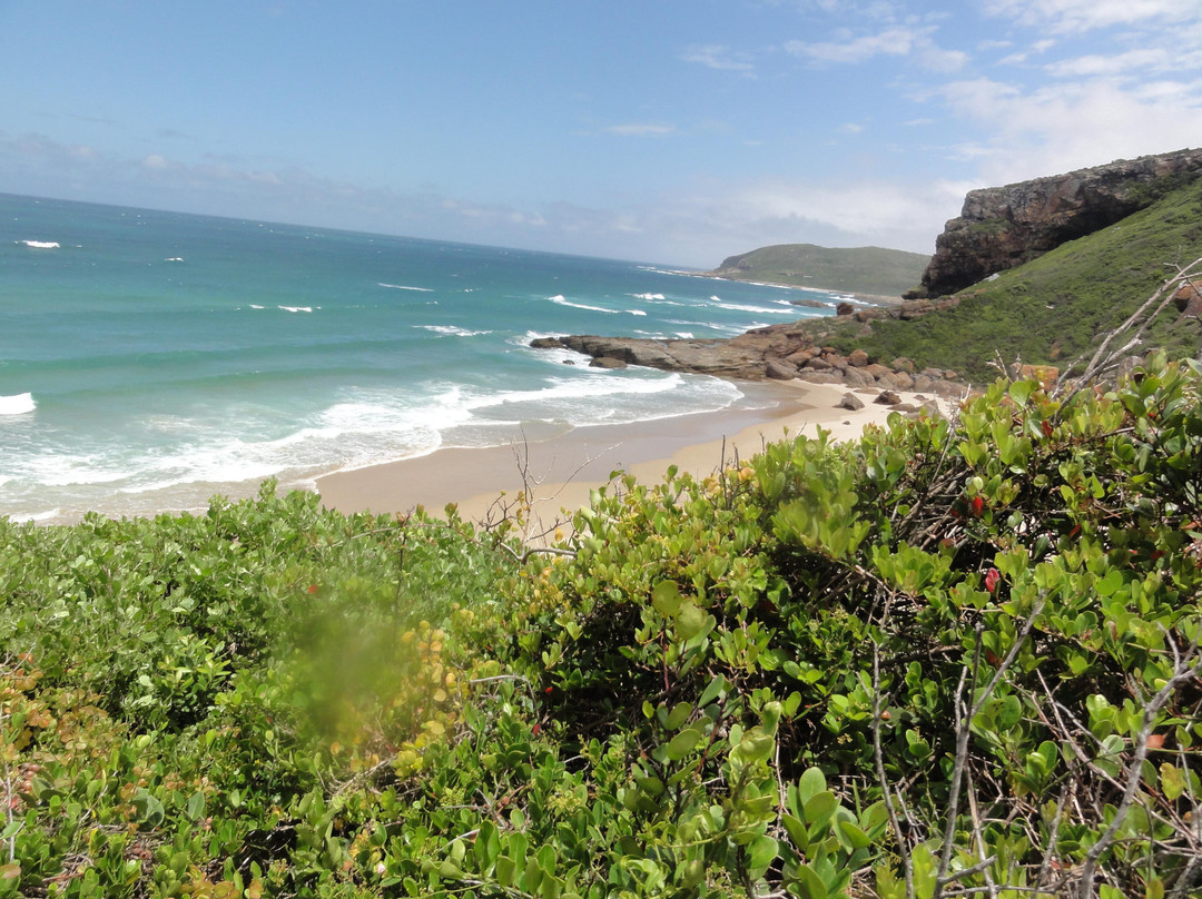 Robberg Nature Reserve-普利登堡湾必去景点