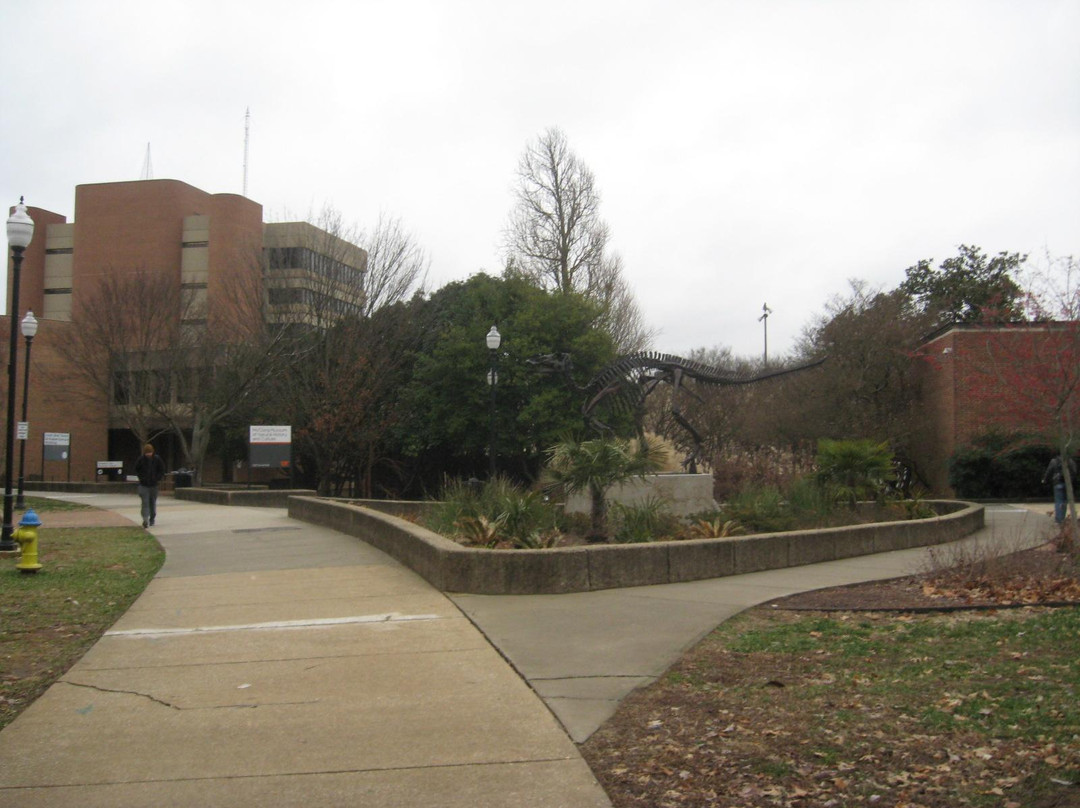 McClung Museum of Natural History and Culture景点图片