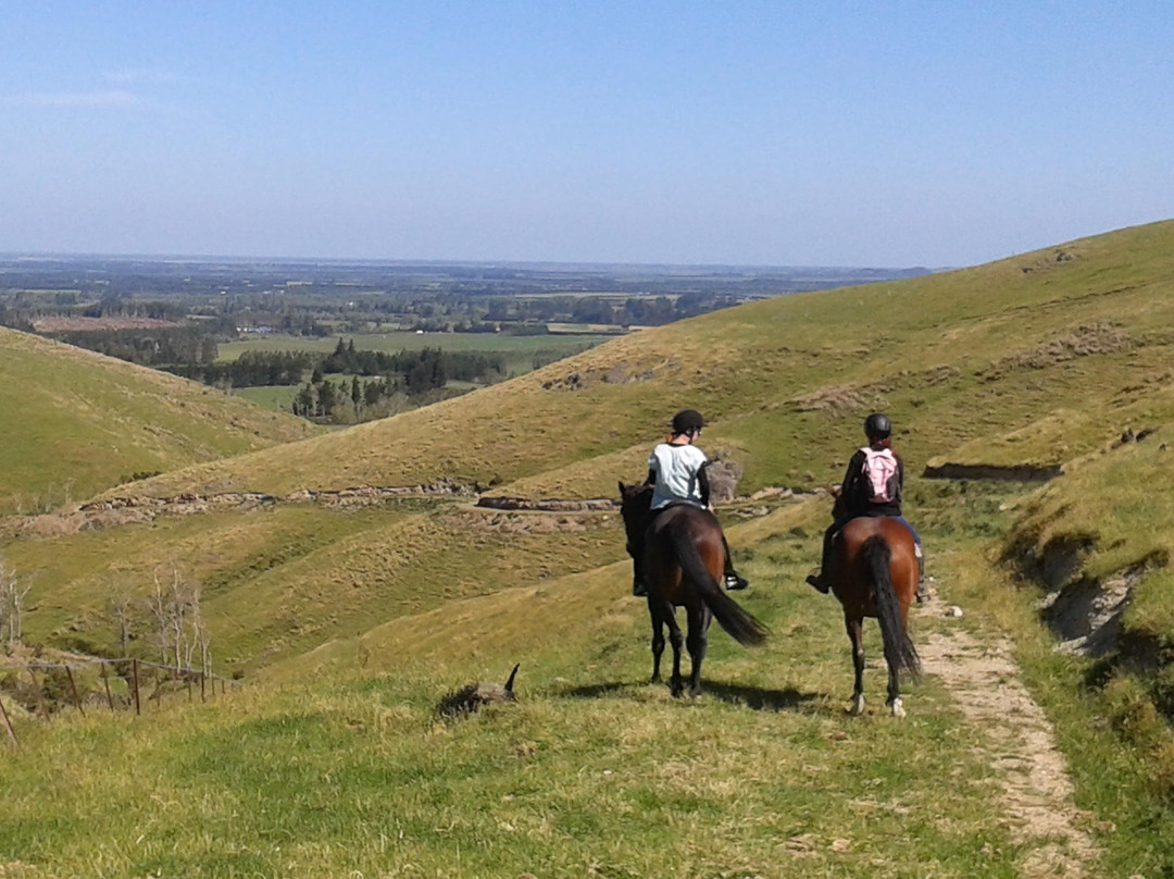 Mt Oxford Horse Trekking - Day Tours-Oxford必去景点