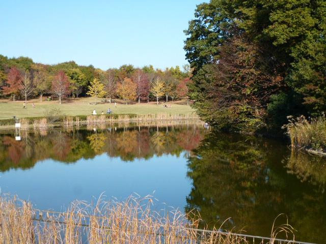 印西市旅游景点-Hokusouhananooka Park