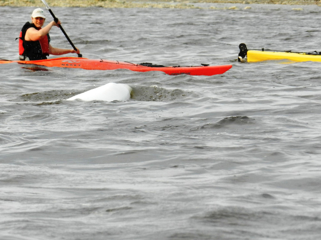 The Churchill Experience Tours-丘吉尔必去景点