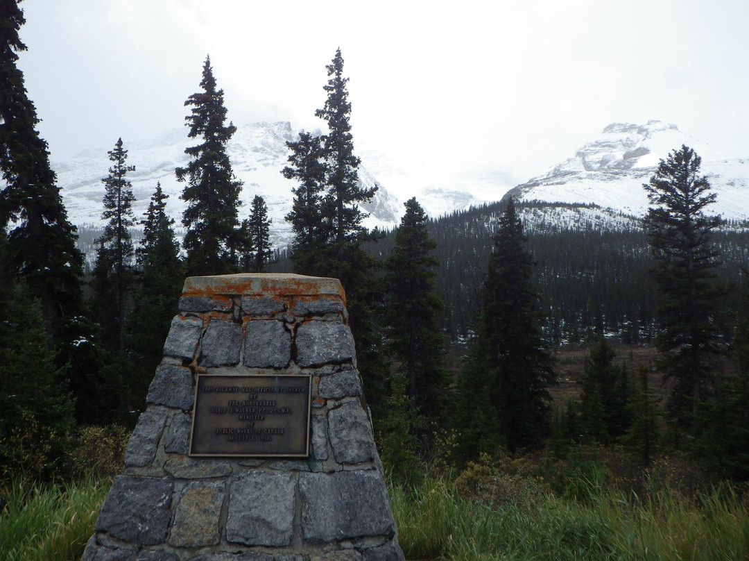 Sunwapta Pass-艾伯塔必去景点