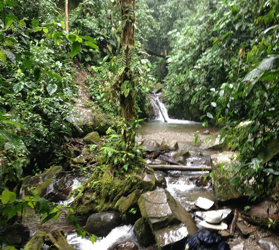 Tarabita y Santuario de Cascadas Mindo-明多必去景点