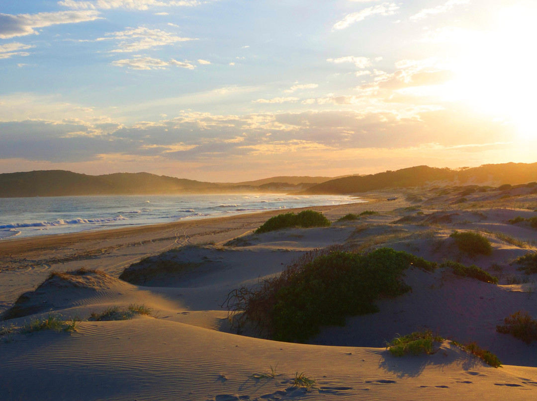 Samurai Beach-史蒂芬斯港必去景点