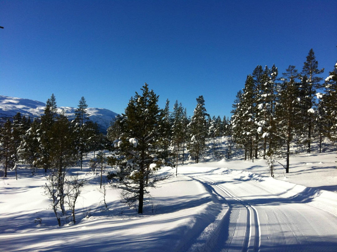 Cross Country Trails-Hovden必去景点
