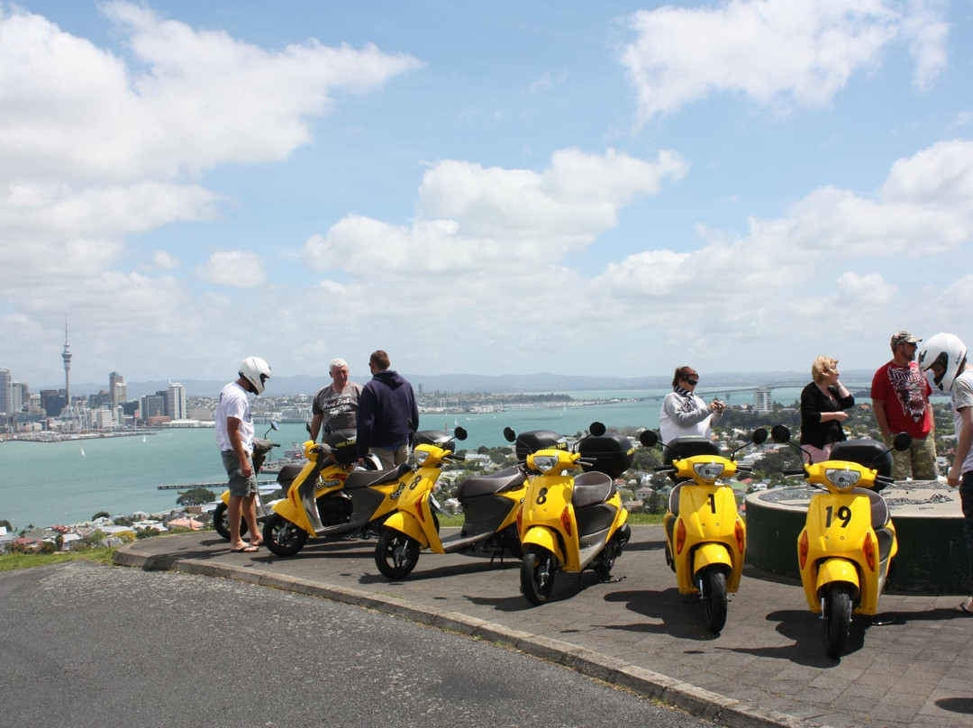 SCOOtours-奥克兰中心地区必去景点