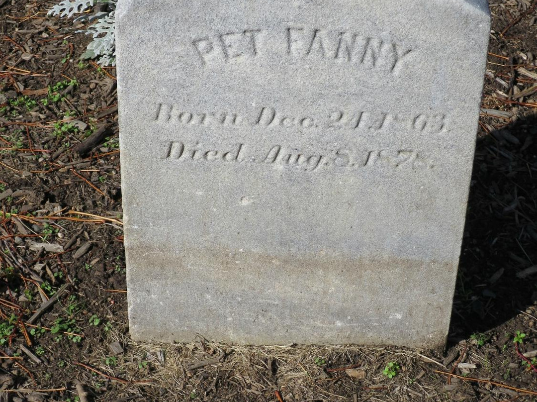 Ryerss Museum and Library-费城必去景点