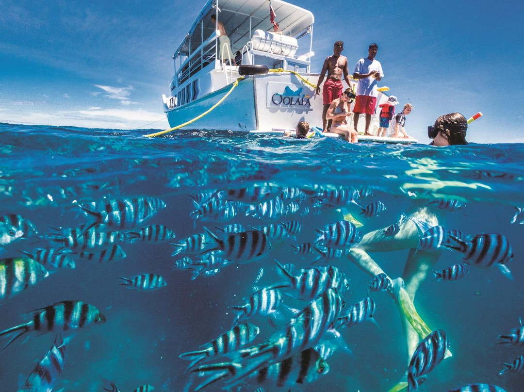 Storck Cruises Day Cruise景点图片