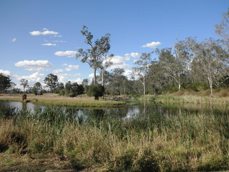 Yarraman Weir and Station Park景点图片