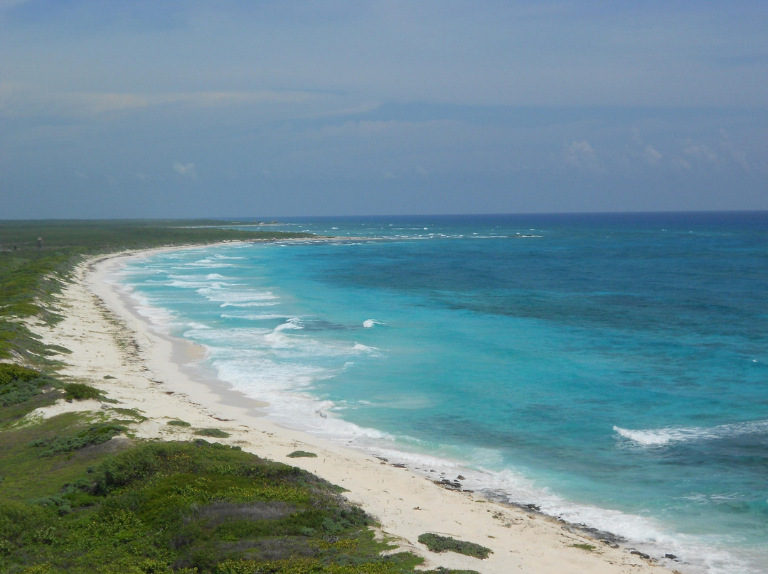 Cozumel Cruise Excursions - Private Tours景点图片