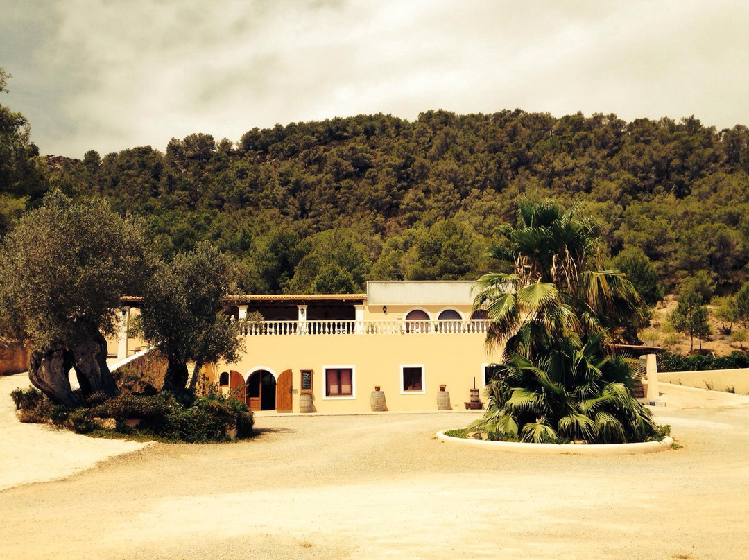Sa Cova Winery-圣安东尼德波特曼尼必去景点