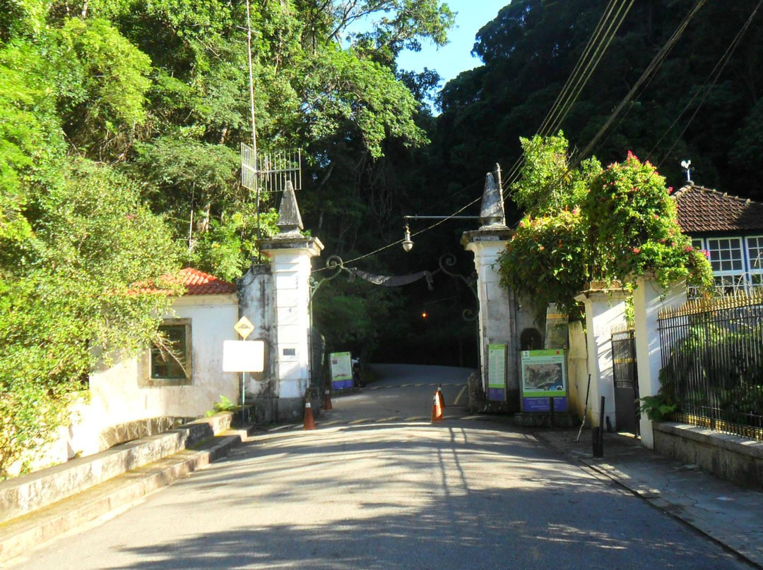 Parque Nacional da Tijuca-里约热内卢必去景点