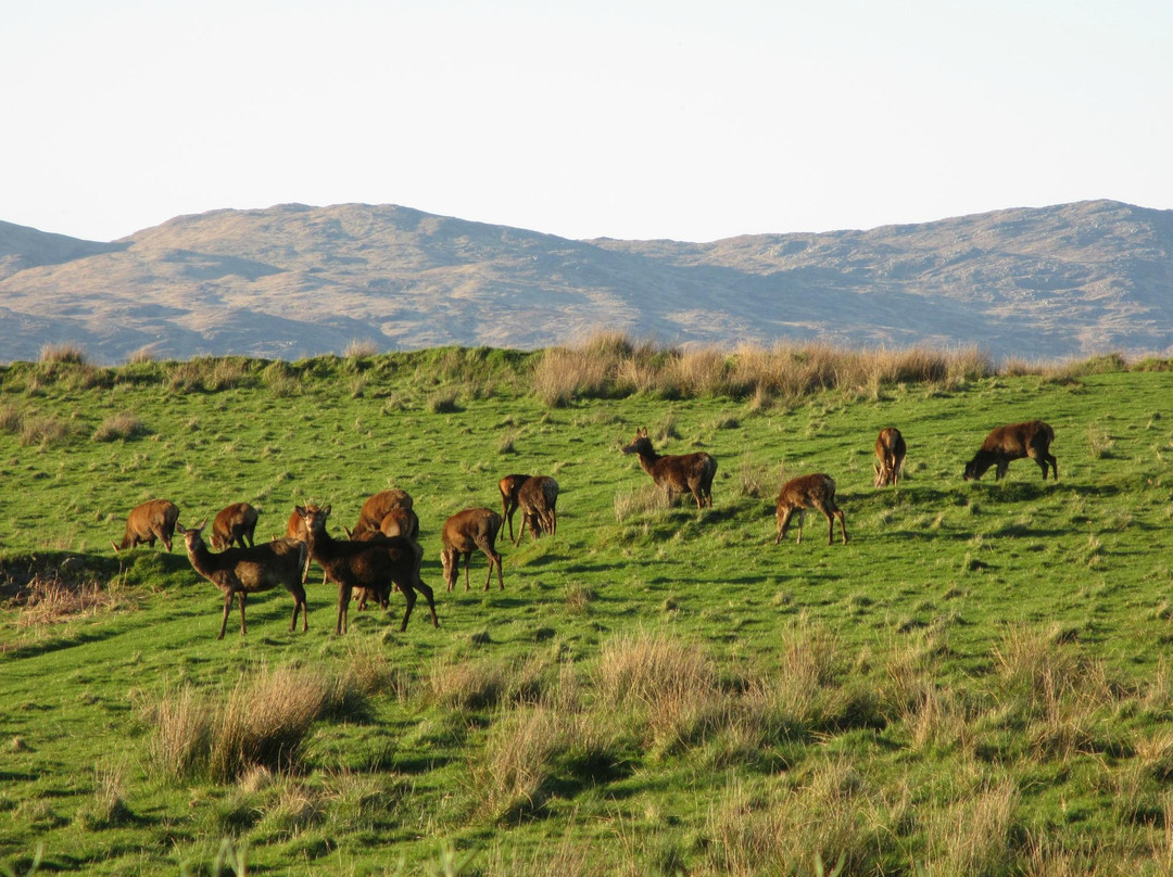 High Oatfield B&B主图