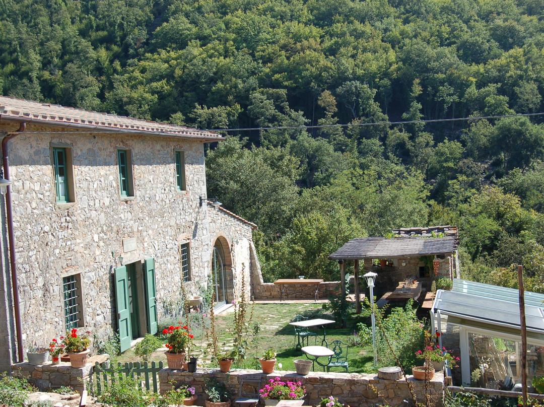 B&B Podere Il Colto