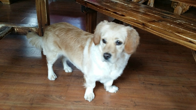 云上小筑客栈-酒店景观