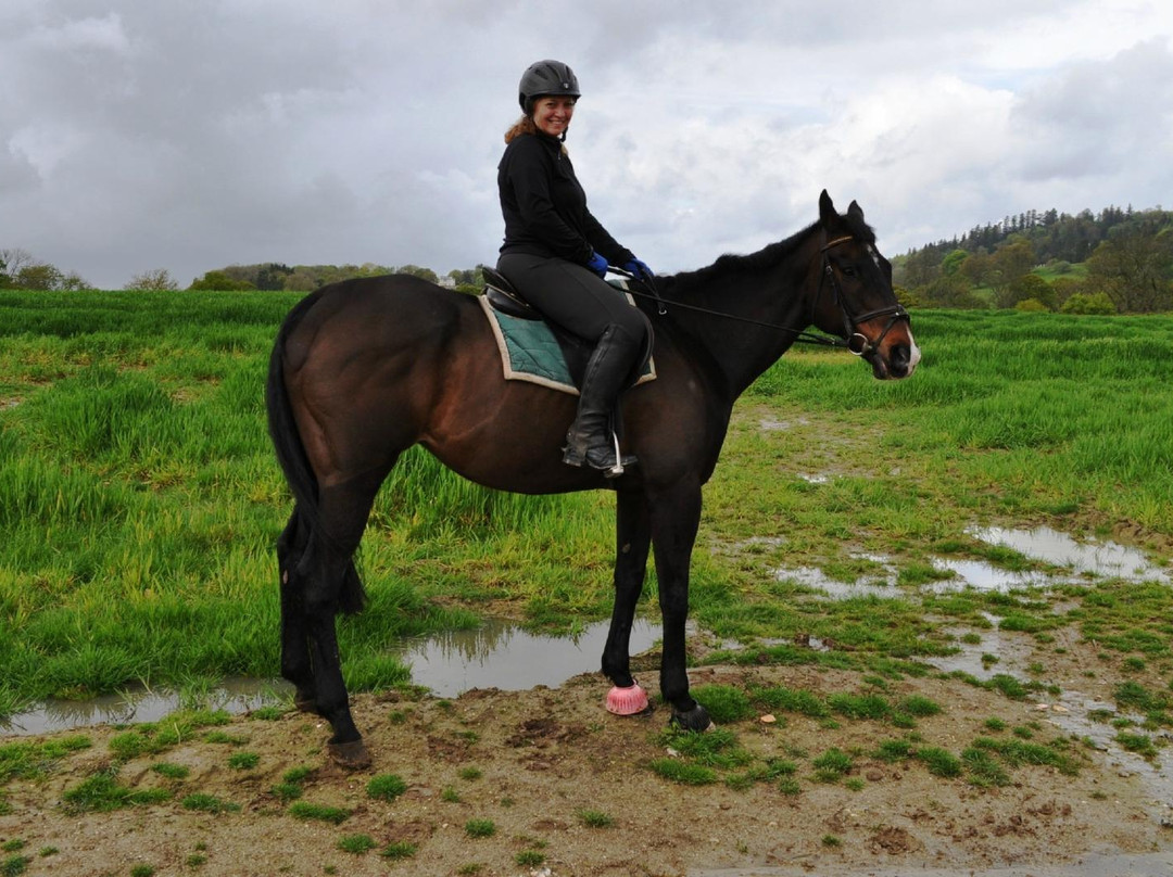 Horse Riding Surrey景点图片