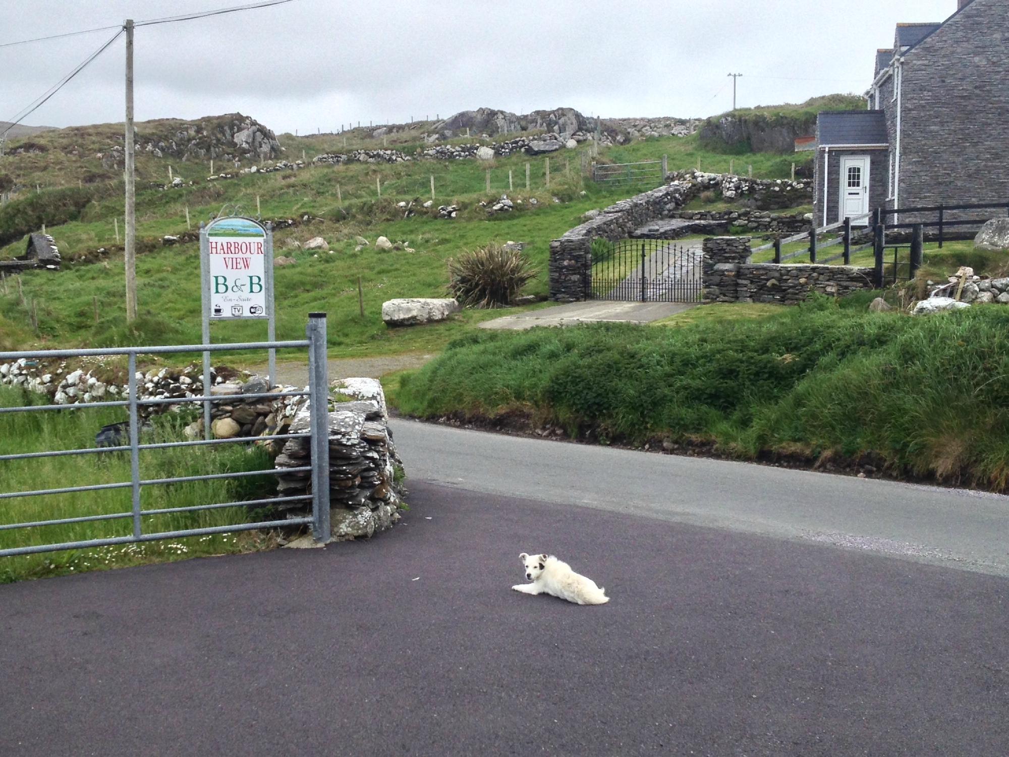 Harbour View Bed and Breakfast-浴室