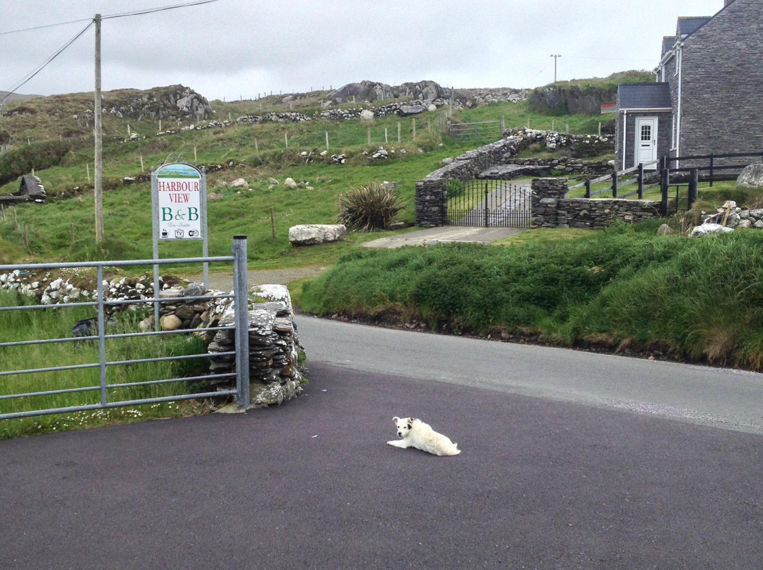 Harbour View Bed and Breakfast主图