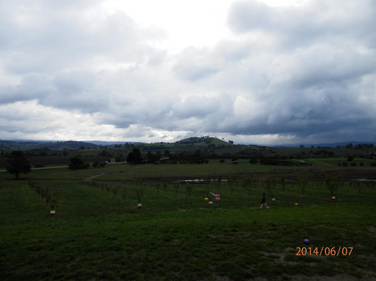 Yarra Valley Chocolaterie & Ice Creamery-亚拉格林必去景点