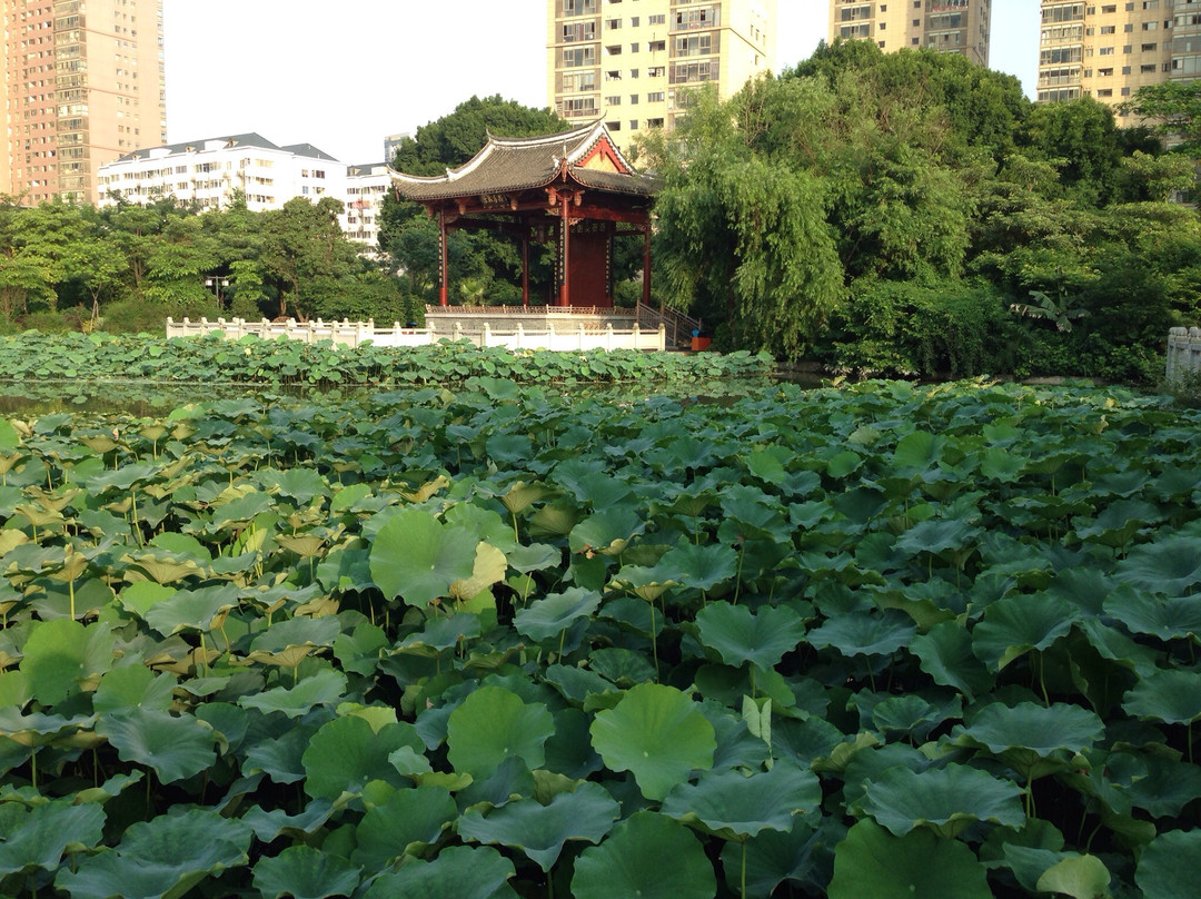 福州茶亭公园景点图片