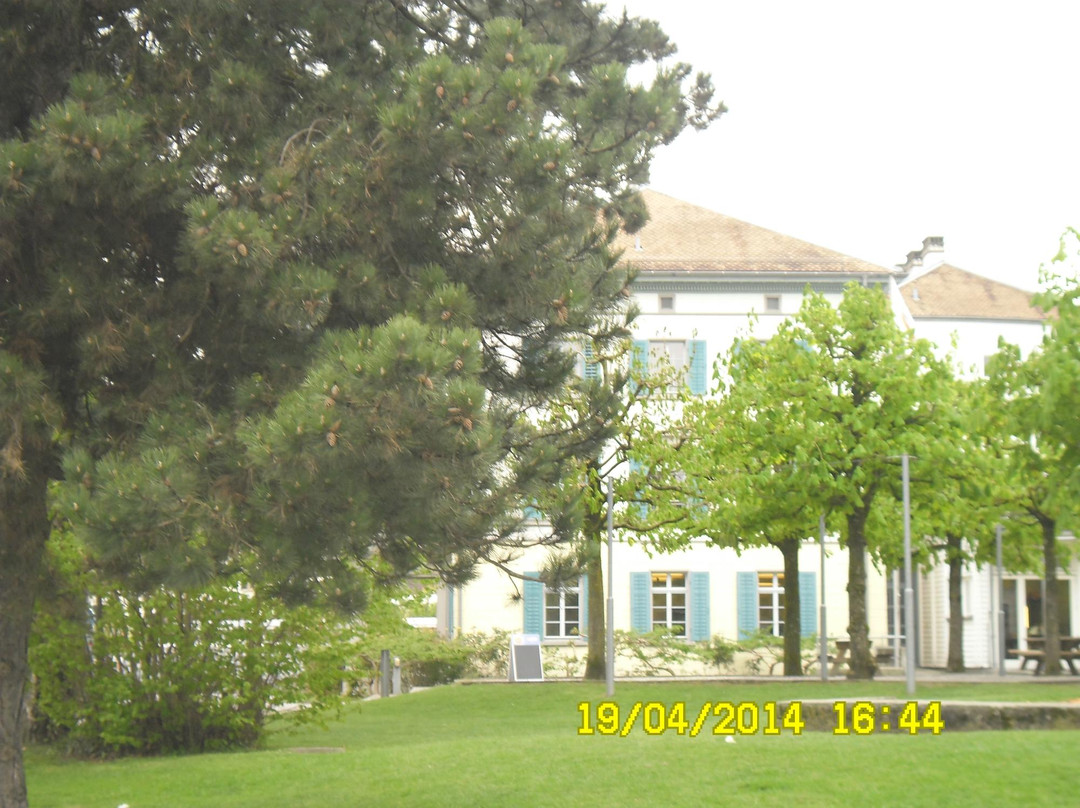 Burgruine Alt-Waedenswil-Richterswil必去景点