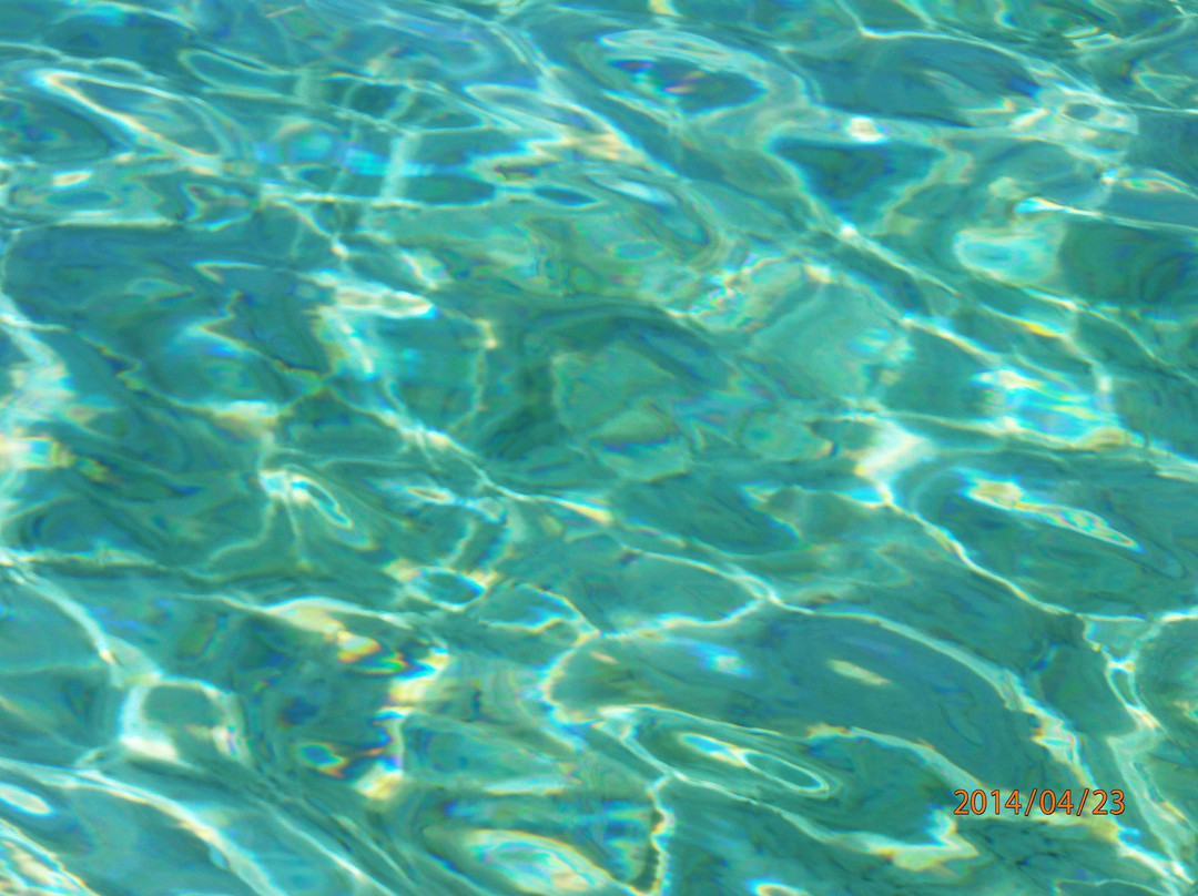 海豚发现秀-坎昆必去景点