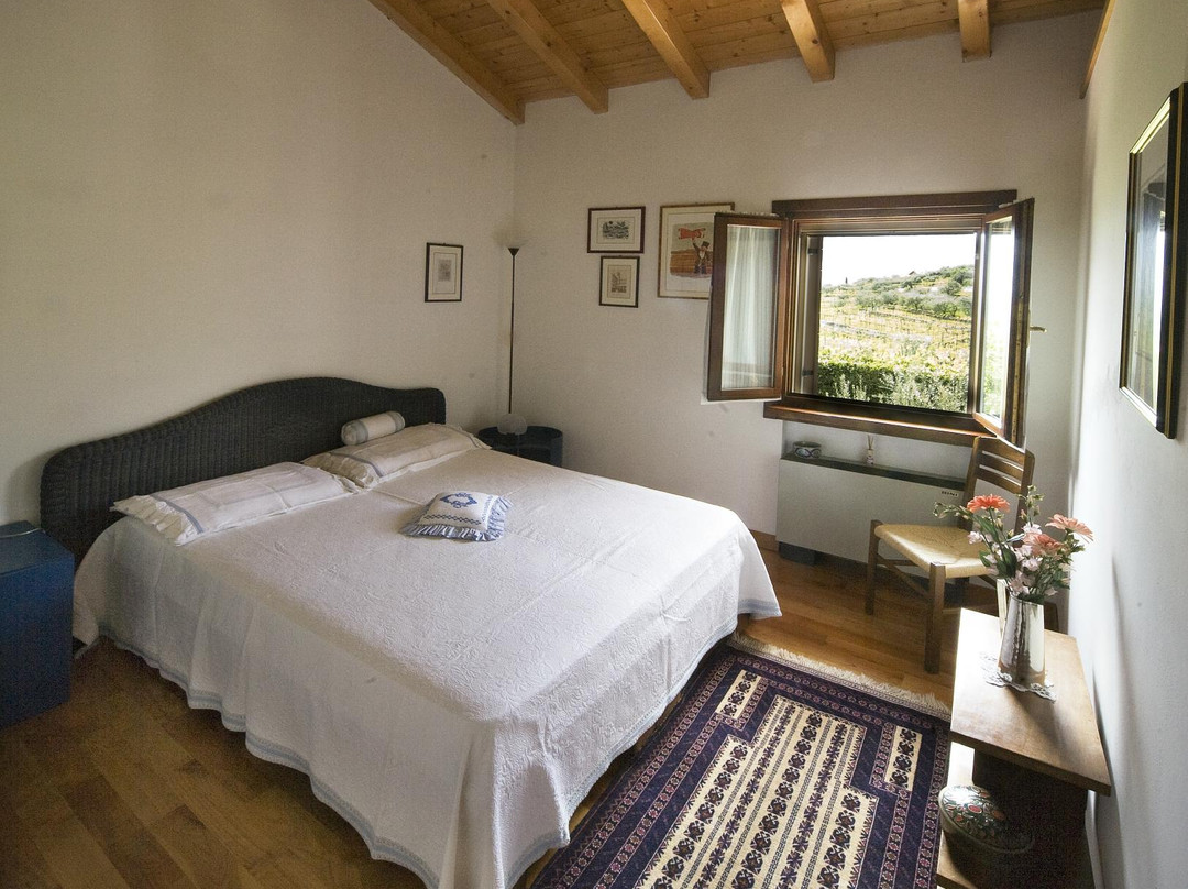 B & B Il Pettirosso主图
