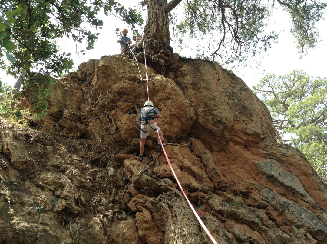 El Salto De La Novia主图