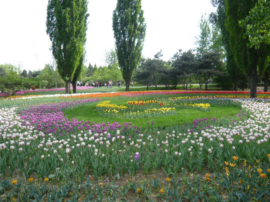 植物园-北京市必去景点