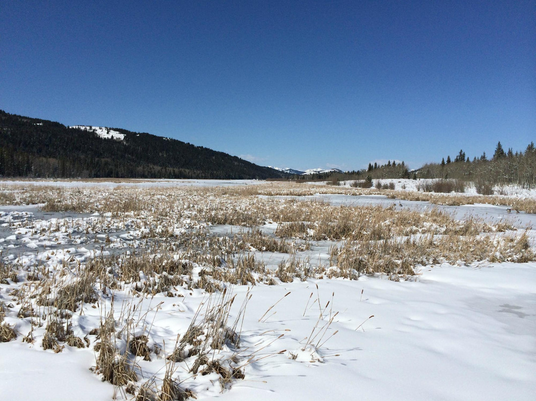 Beauvais Lake Provincial Park-平雀溪镇必去景点