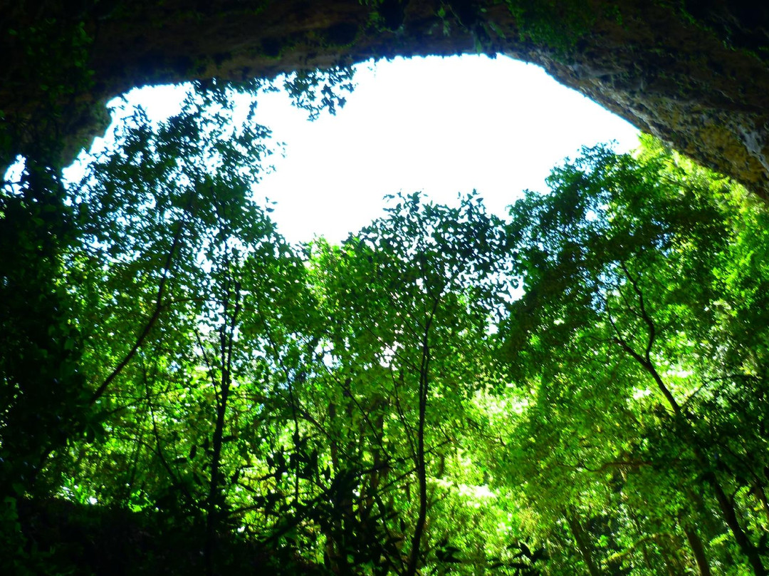 Clara Cave (Cueva Clara)景点图片