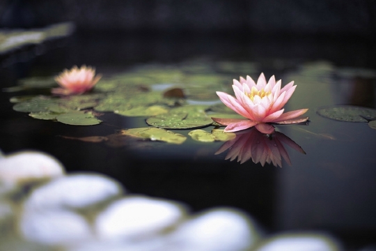 云渡洱海度假酒店-浴室