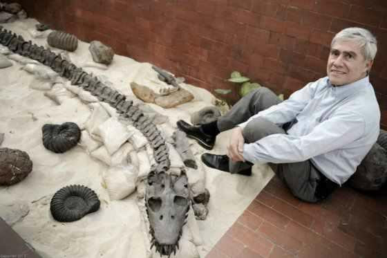 Centro de Investigaciones Paleontologicas - CIP景点图片