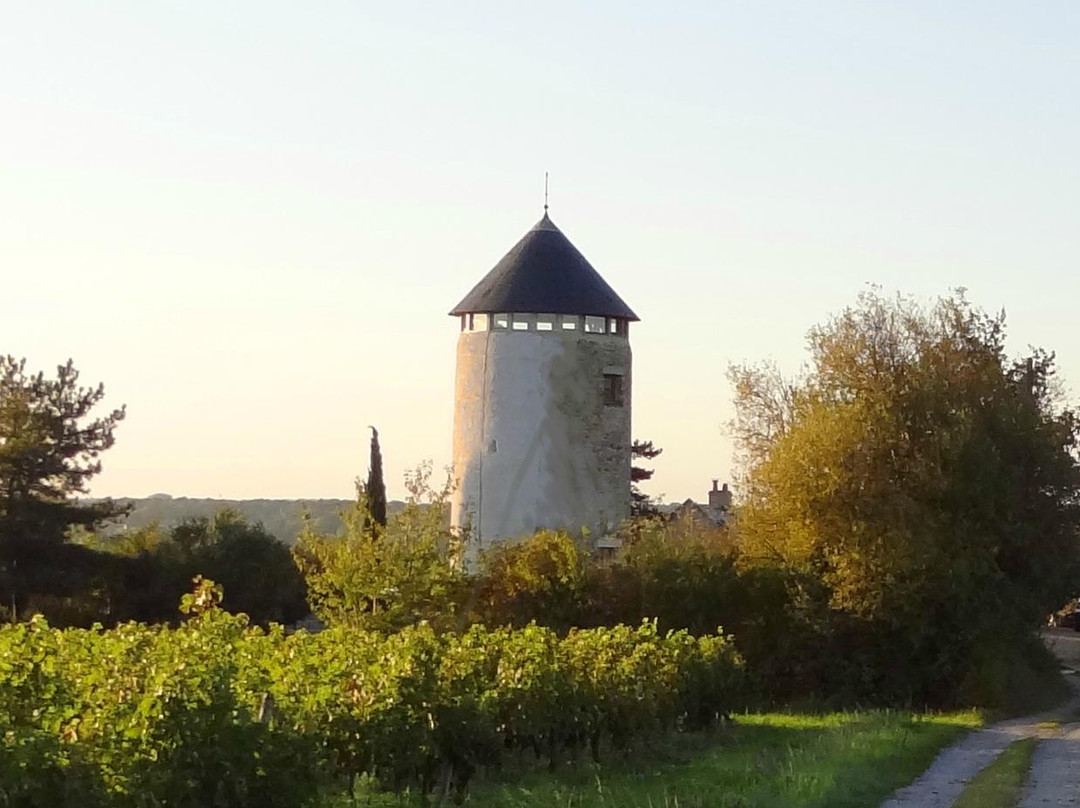 Chalonnes-sur-Loire旅游攻略图片
