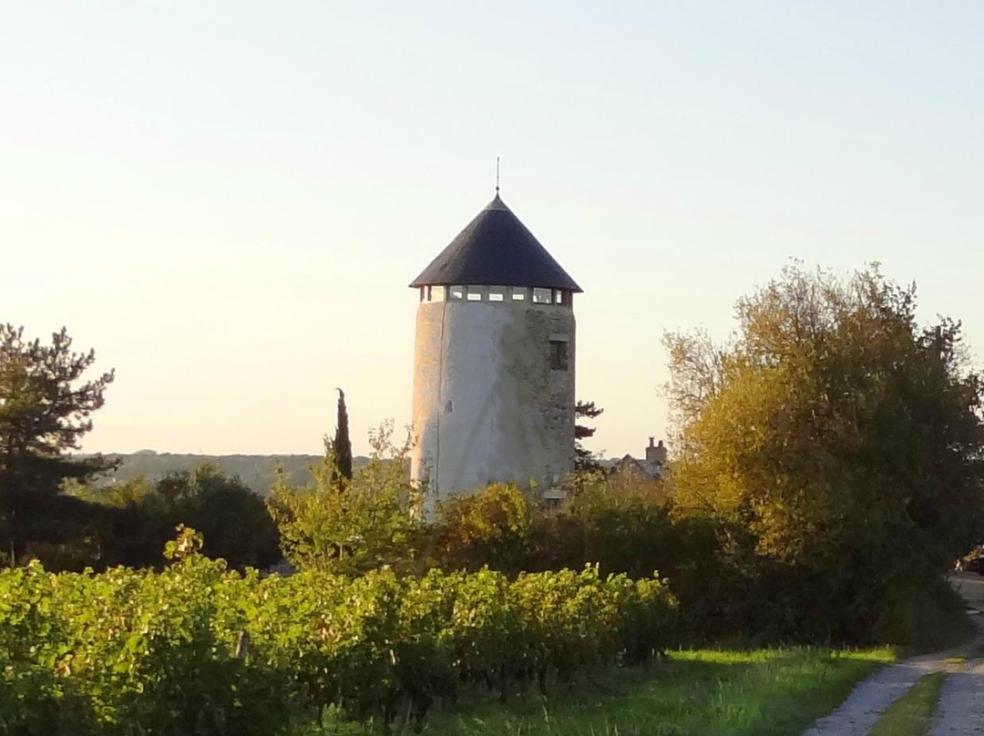 Beaulieu-sur-Layon旅游攻略图片
