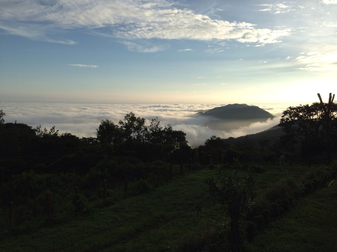 Doddabale Siddaragudda Peak(Shivgiri Trails)景点图片