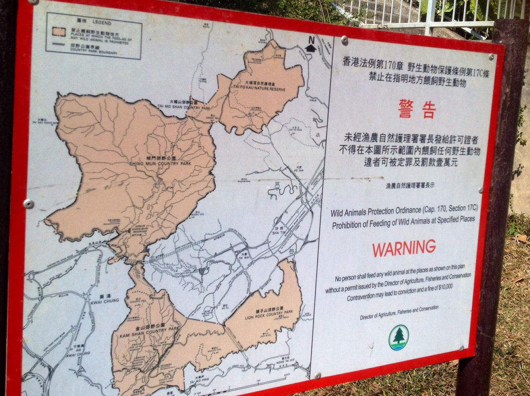 狮子山郊野公园-香港必去景点