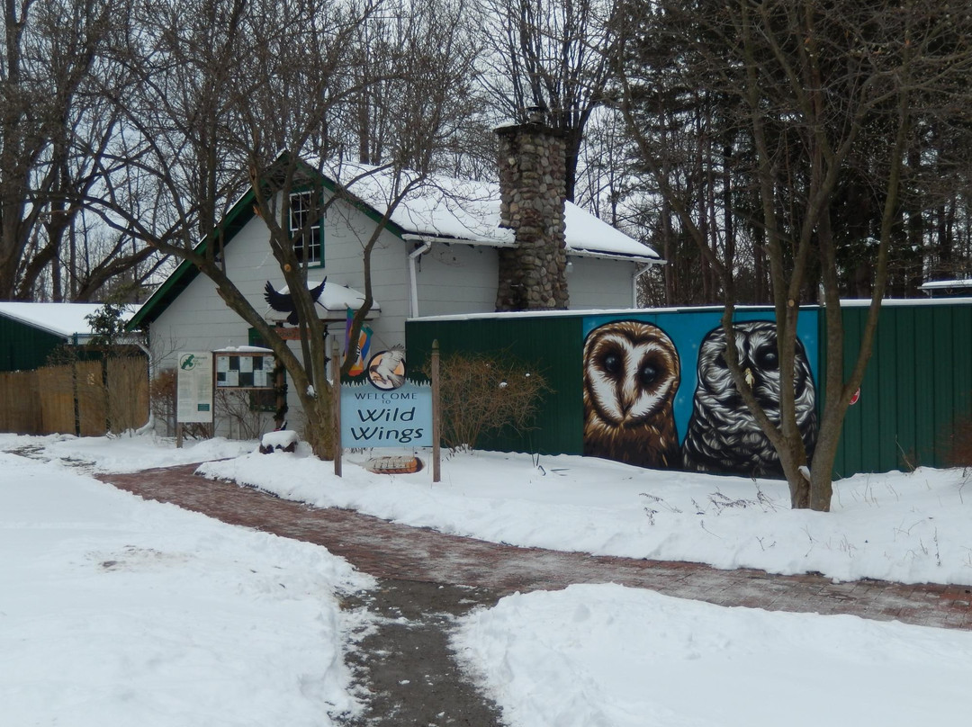 Wild Wings-Honeoye Falls必去景点