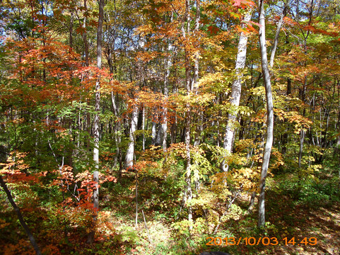 红石国家森林公园-桦甸市必去景点