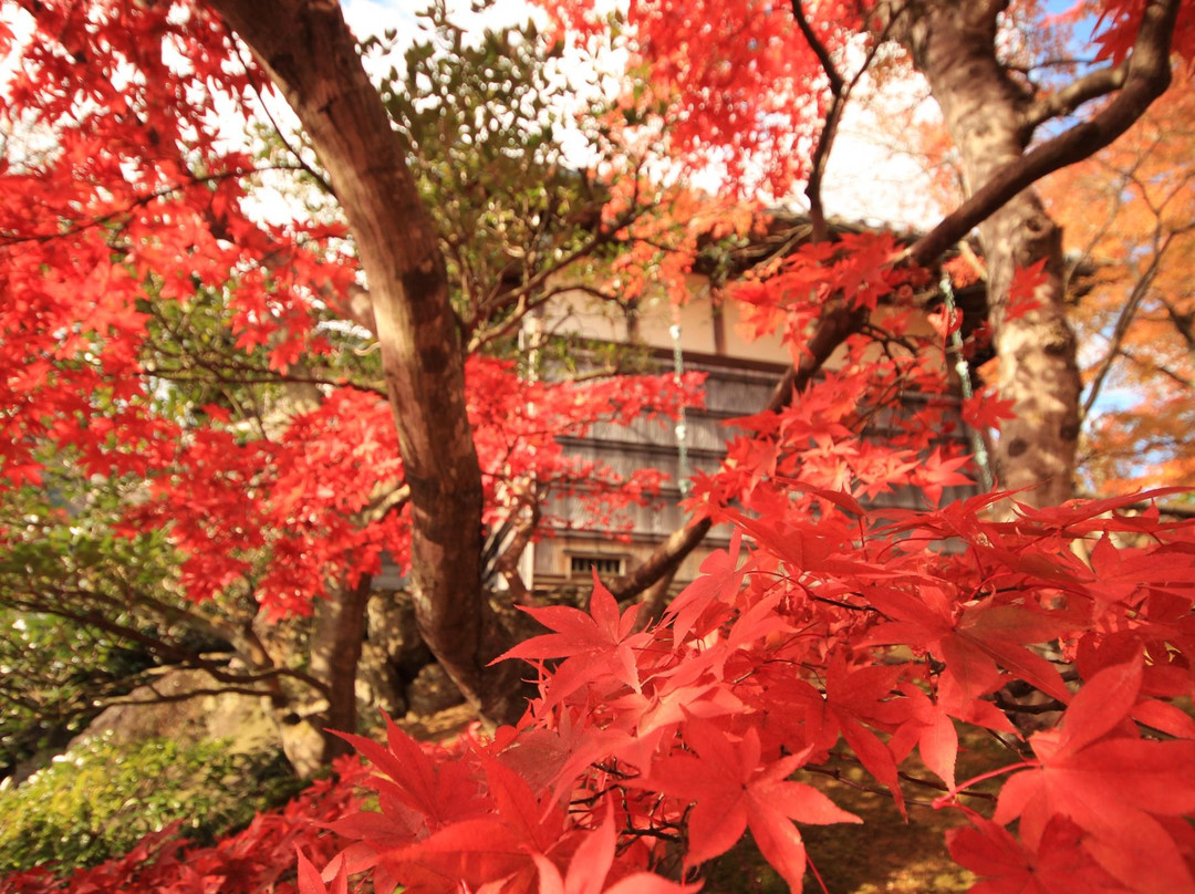 箱根美术馆-箱根町必去景点