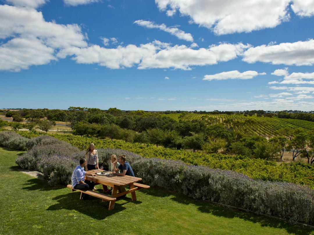 罗布旅游景点-Cape Jaffa Wines