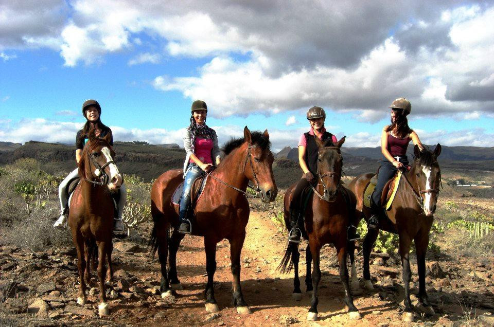 El Salobre Horse Riding-马斯帕洛马斯必去景点